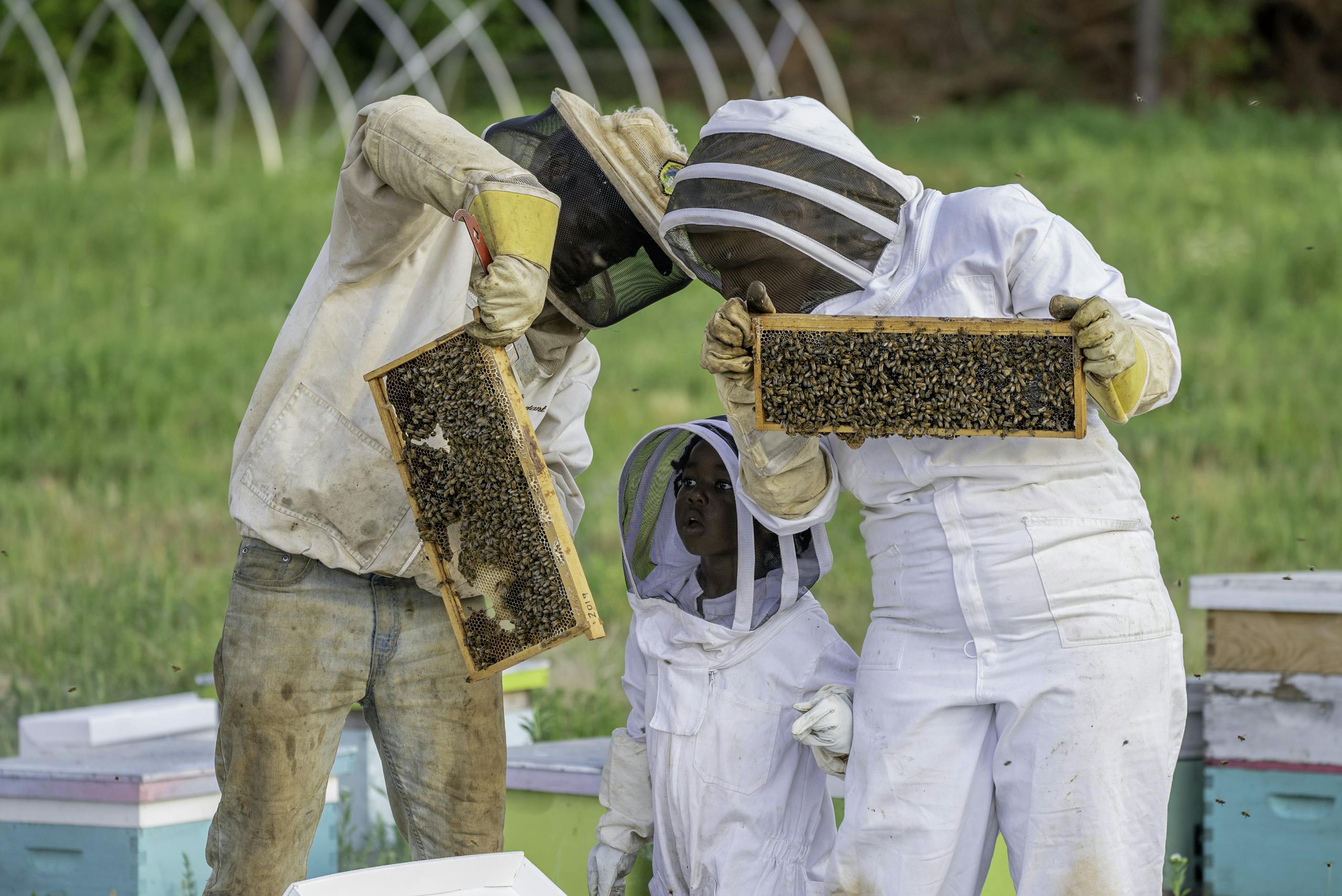 Family in protective gear tending bees in a North Carolina apiary.
